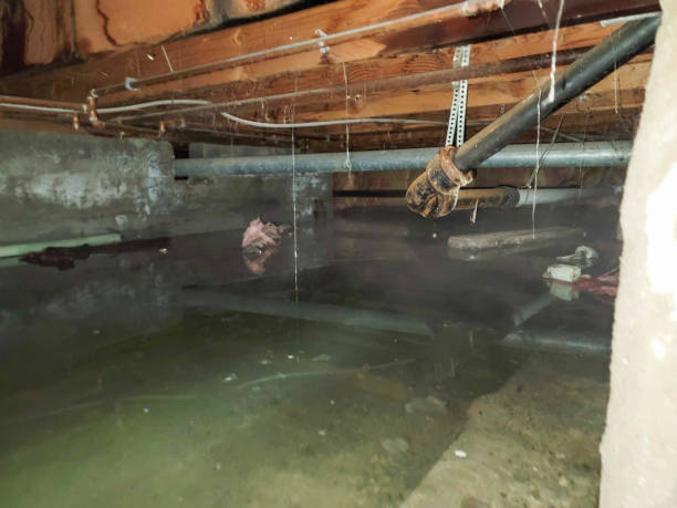 Best Sewage cleanup and water damage restoration  in West Des Moines, IA