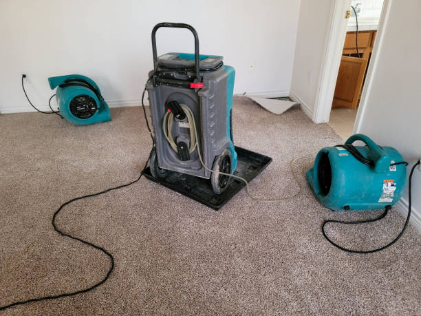 Best Water damage restoration near me  in West Des Moines, IA
