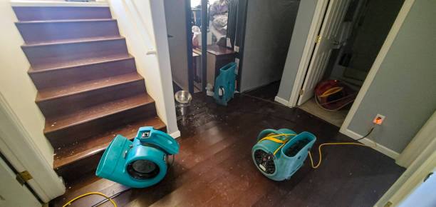 Best Mold removal after water damage  in West Des Moines, IA