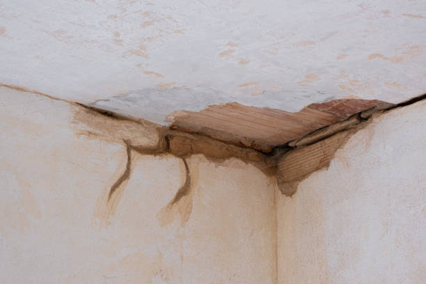 Best Water damage contractors near me  in West Des Moines, IA