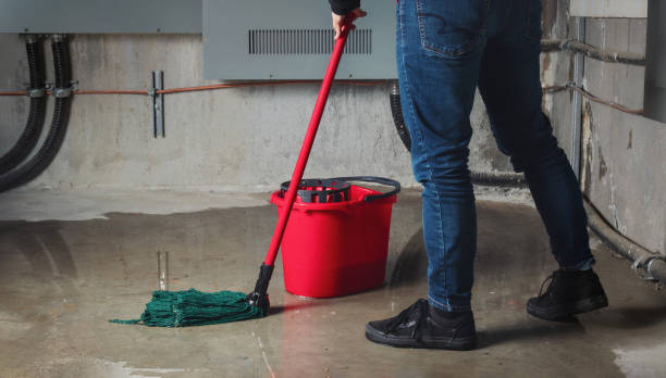 Best Residential water damage restoration  in West Des Moines, IA