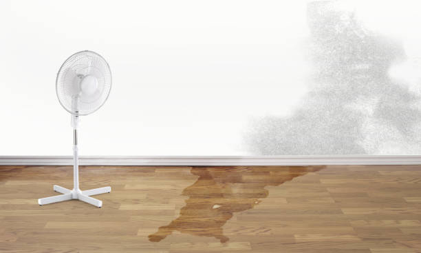Best Commercial water damage restoration  in West Des Moines, IA