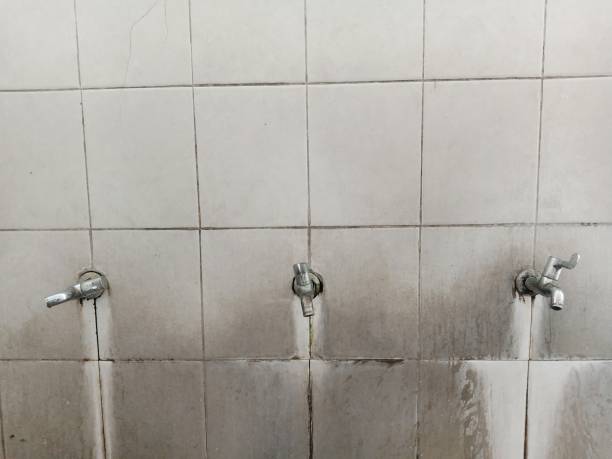 Best Flood restoration services  in West Des Moines, IA