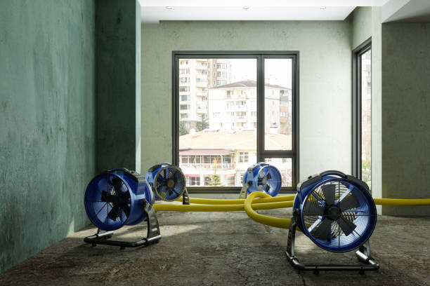 Best Emergency water damage restoration  in West Des Moines, IA