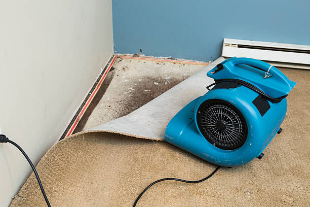 Best Flooded house restoration  in West Des Moines, IA